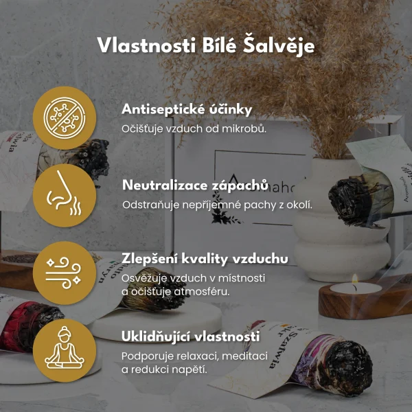 Bílá šalvěj (Svazek 13 cm)