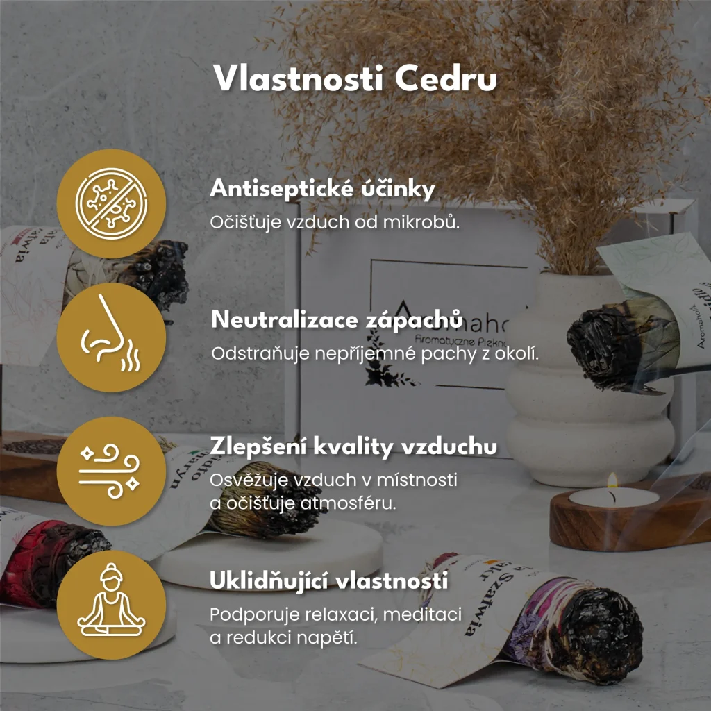 Sušený Cedr (Svazek 11cm)