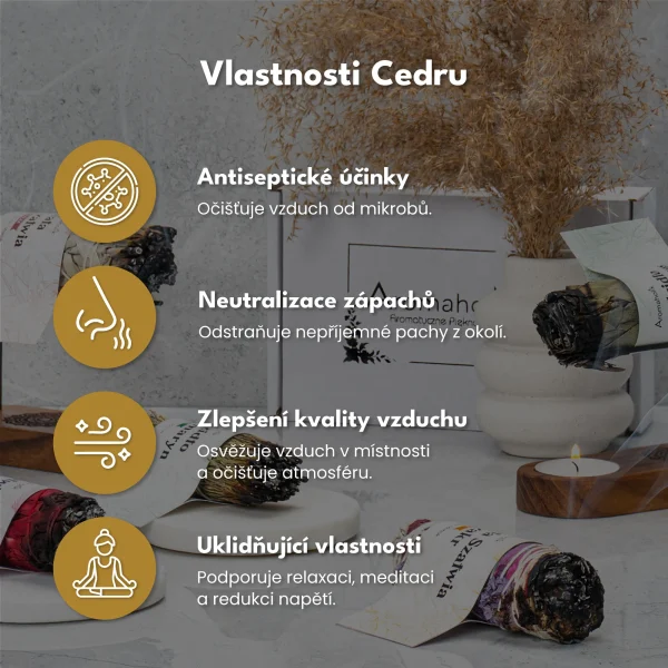 Sušený Cedr (Svazek 11cm)