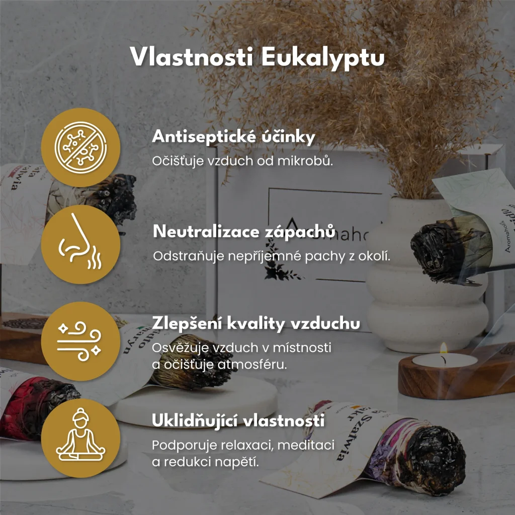Sušený Eukalyptus (Svazek 11cm) do meditace