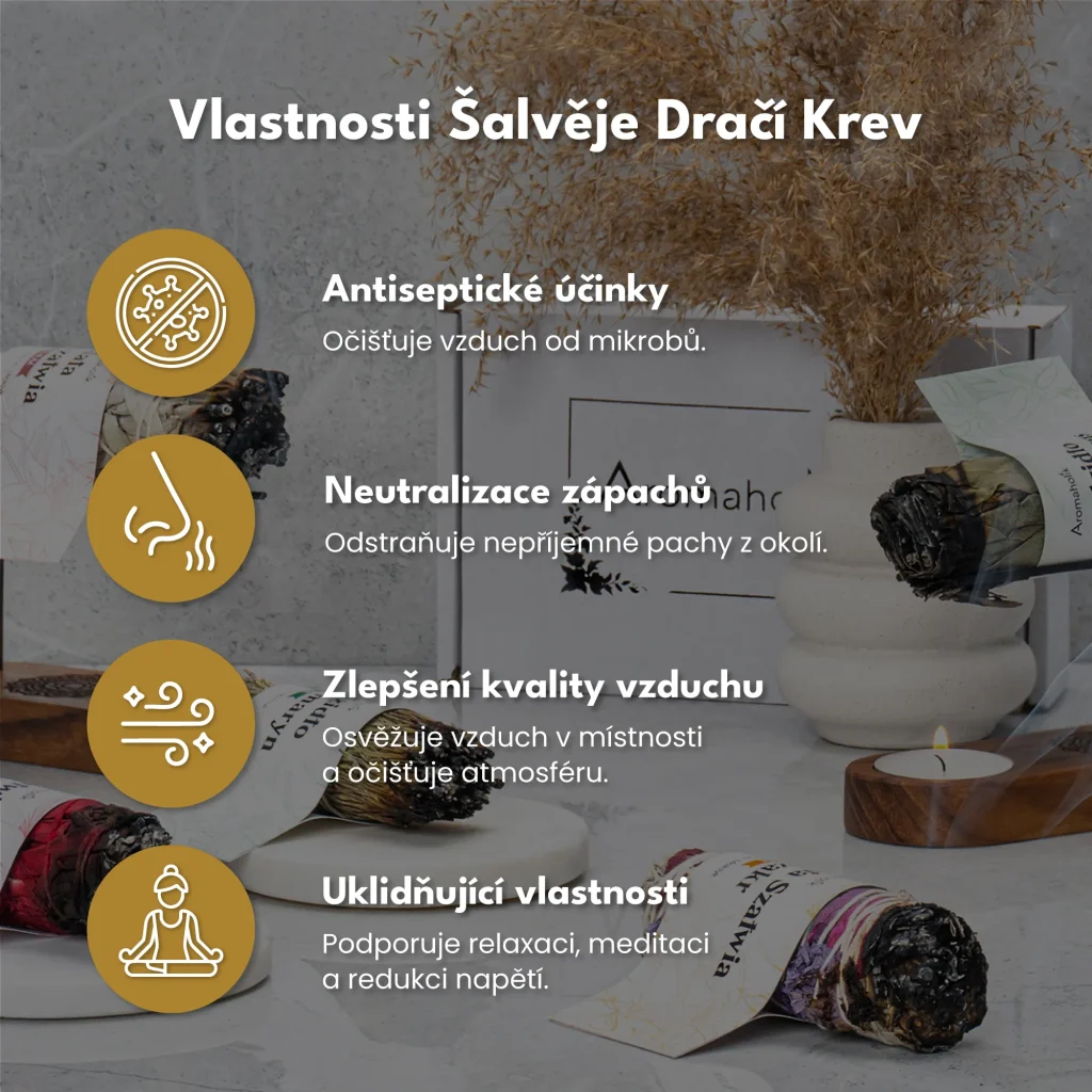 Šalvěj Dračí krev (Svazek 10cm)