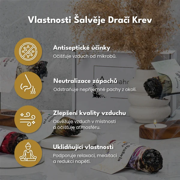 Šalvěj Dračí krev (Svazek 10cm)