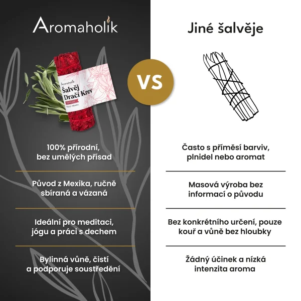 Šalvěj Dračí krev (Svazek 10cm)