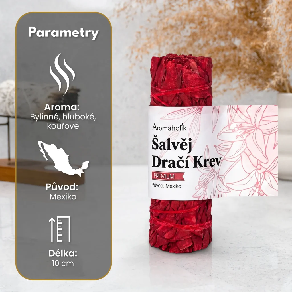 Šalvěj Dračí krev (Svazek 10cm)