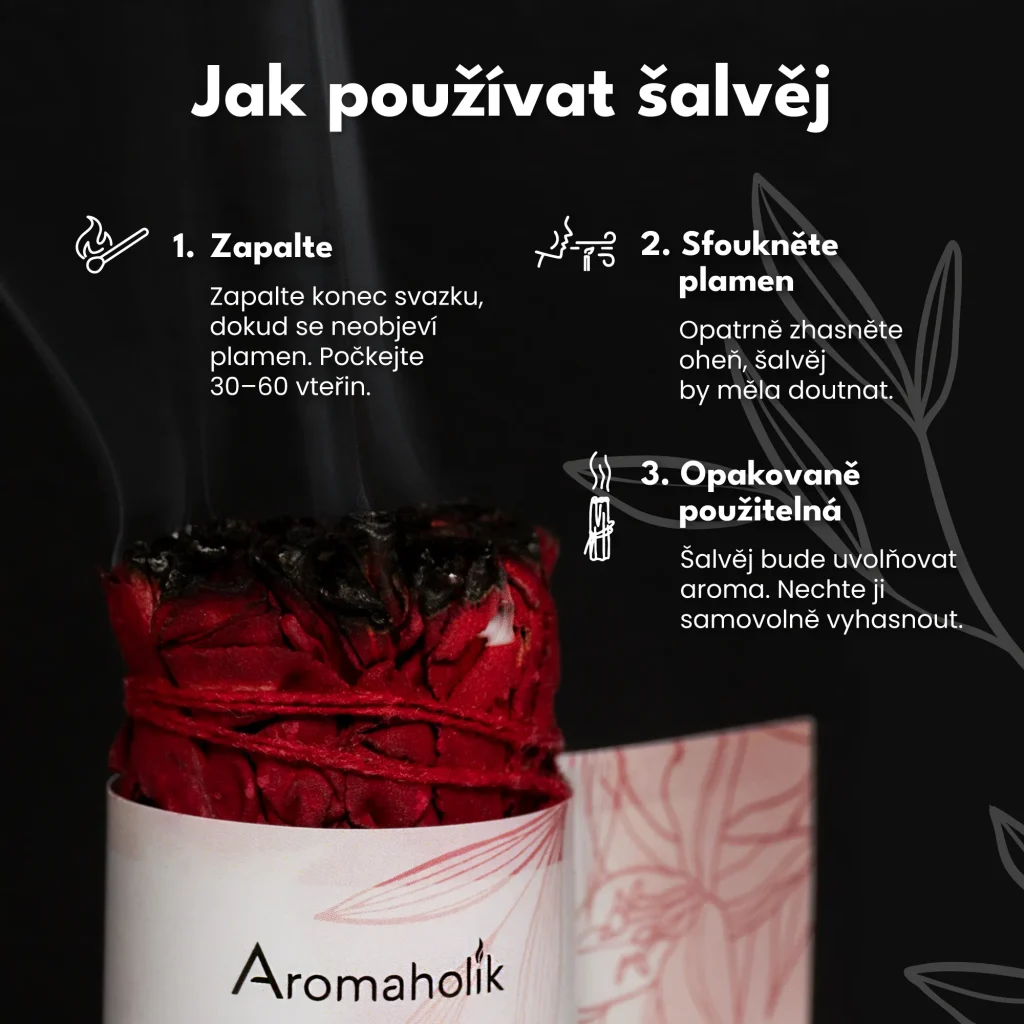Šalvěj Dračí krev (Svazek 10cm)
