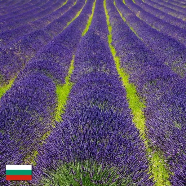 Levandulový olej