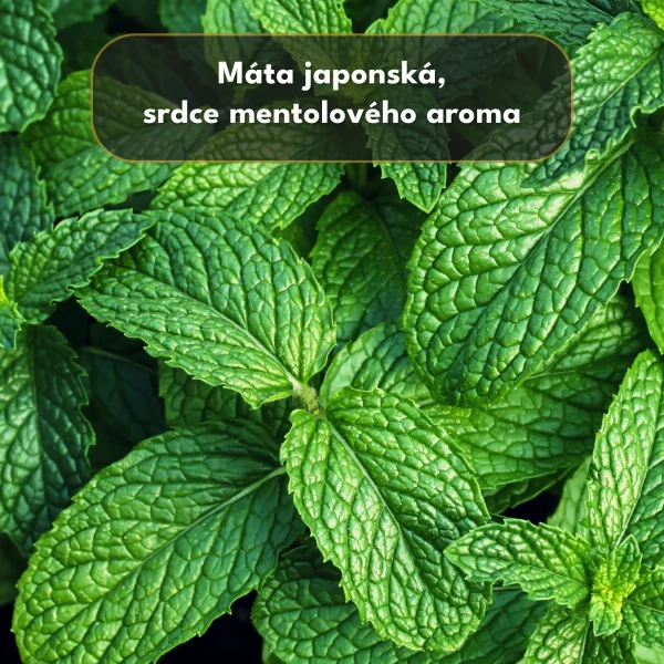 Mentol Krystalický 40g