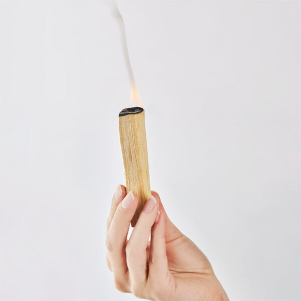 Palo Santo + Bílá šalvěj